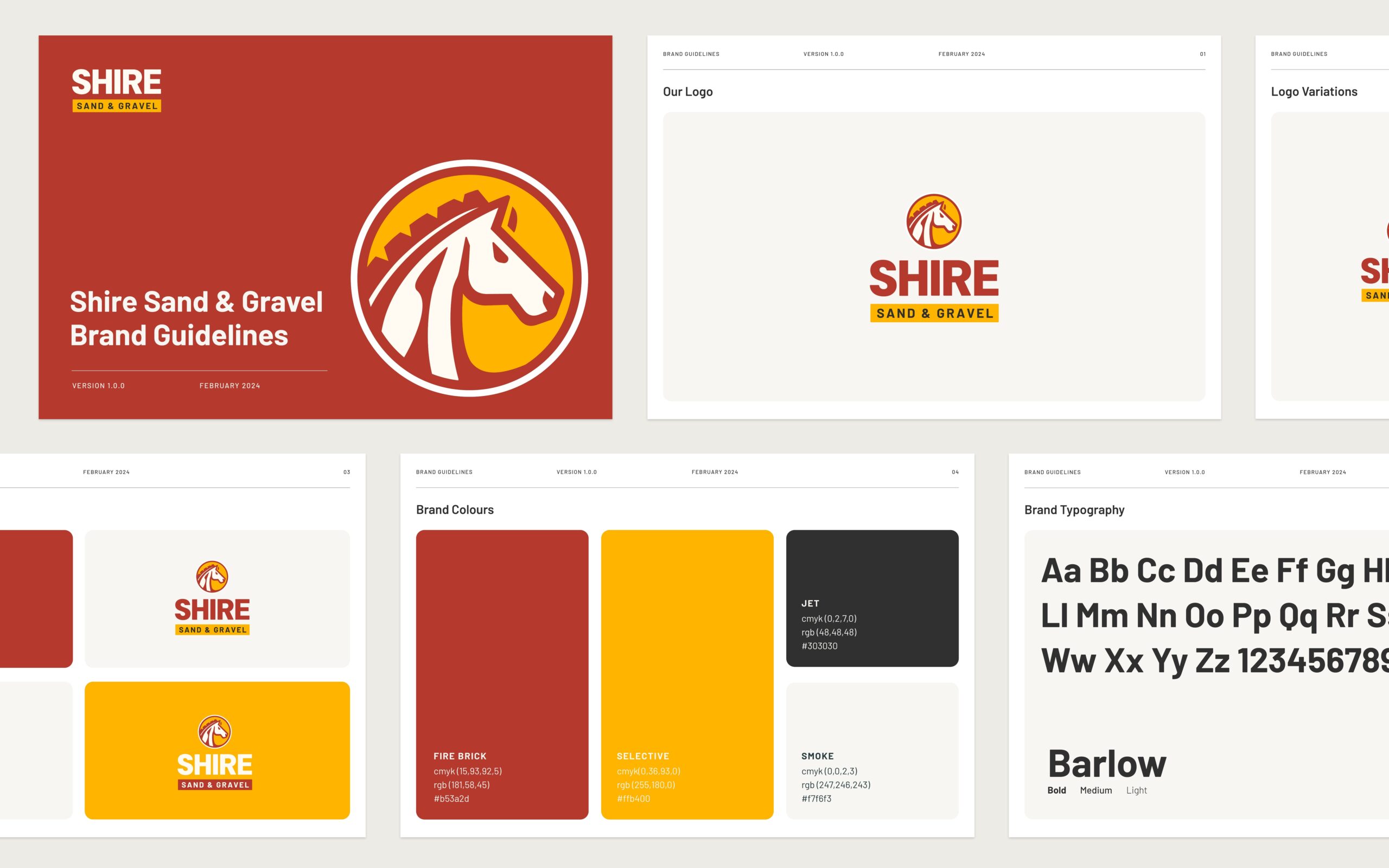 Rebranding Project for Shire case study 5